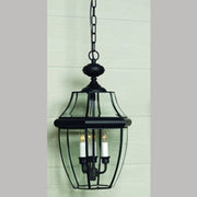 Newbury 4-Light Outdoor Hanging Lantern in Mystic Black