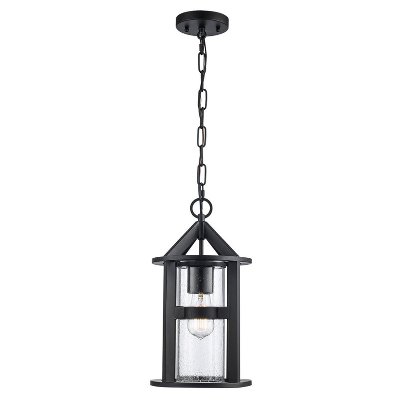 Prado 1-Light 8.5" Outdoor Hanging Lantern in Black