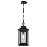 Bosque One Light Outdoor Pendant in Black