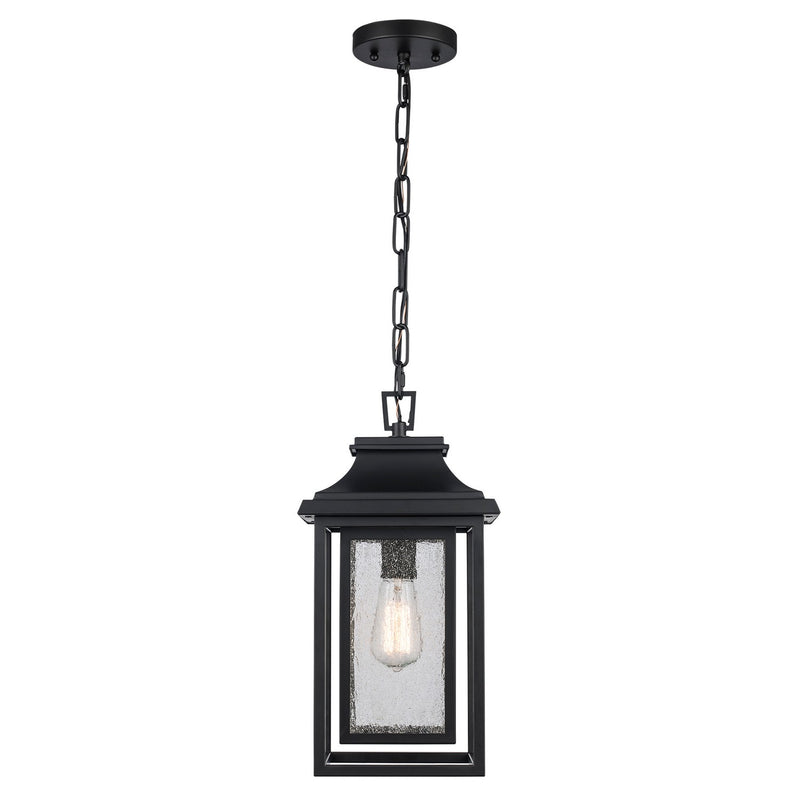 Bosque One Light Outdoor Pendant in Black