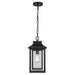 Bosque One Light Outdoor Pendant in Black