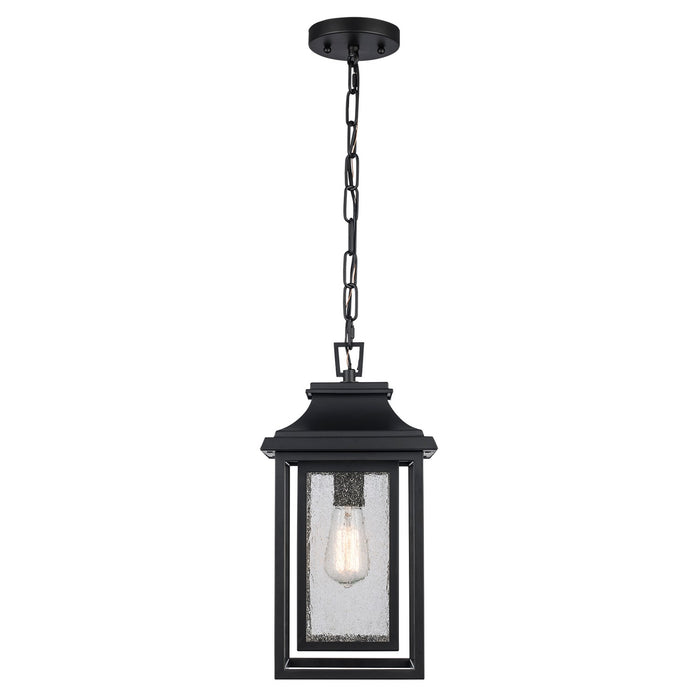 Bosque 1-Light Outdoor Pendant in Black - Lamps Expo