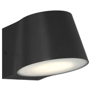 Ry LED Outdoor Wall Sconce in Black