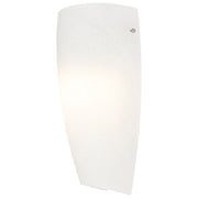 Daphne Wall Sconce in Brushed Steel
