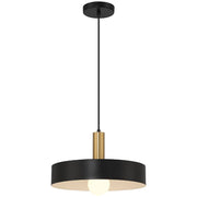 Slate Pendant in Black W/antique Brushed Brass