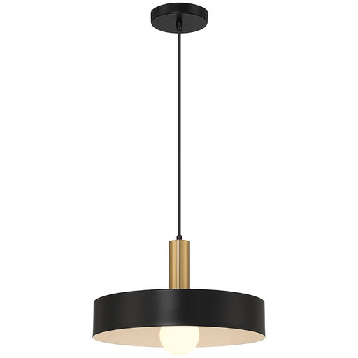 Slate One Light Pendant in Black with Antique Brushed Brass