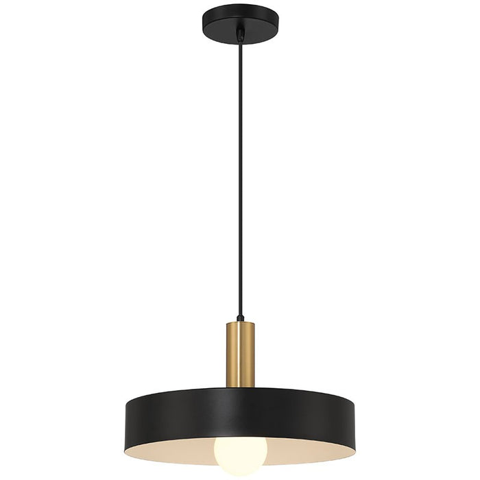 Slate One Light Pendant in Black with Antique Brushed Brass