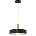 Slate One Light Pendant in Black with Antique Brushed Brass