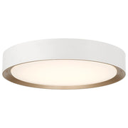 Malaga Color Selectable 19.75" Flush Mount in Matte White
