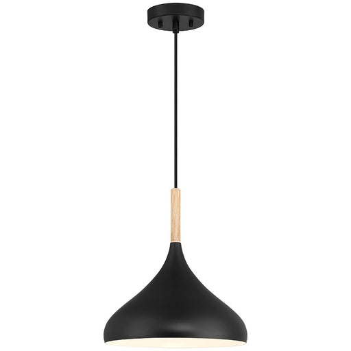 Olivia One Light Pendant in Black