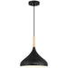 Olivia One Light Pendant in Black