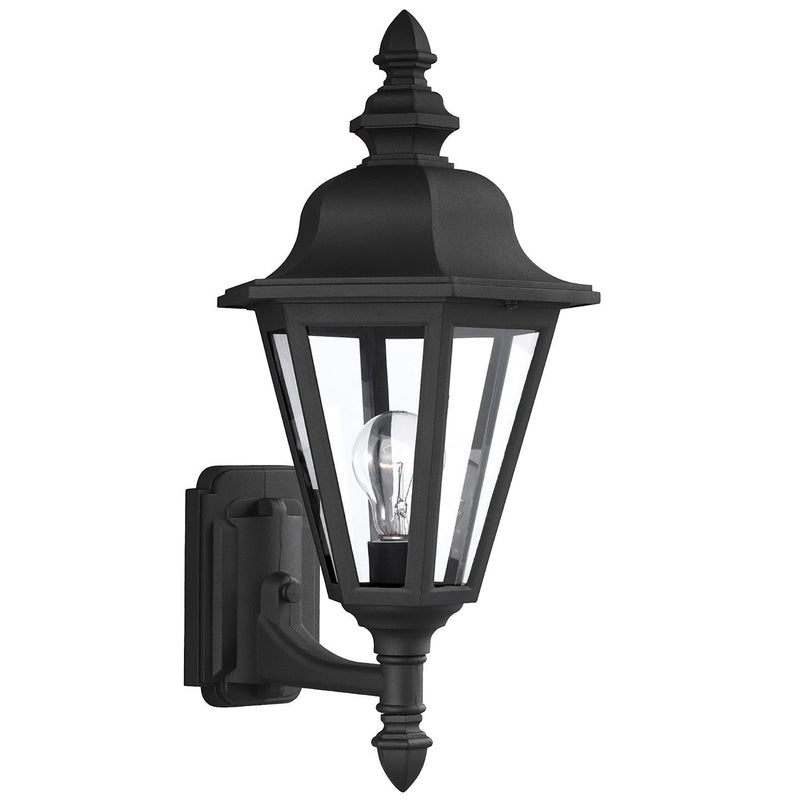 Brentwood 19.75" Clear Glass Outdoor Wall Lantern in Black