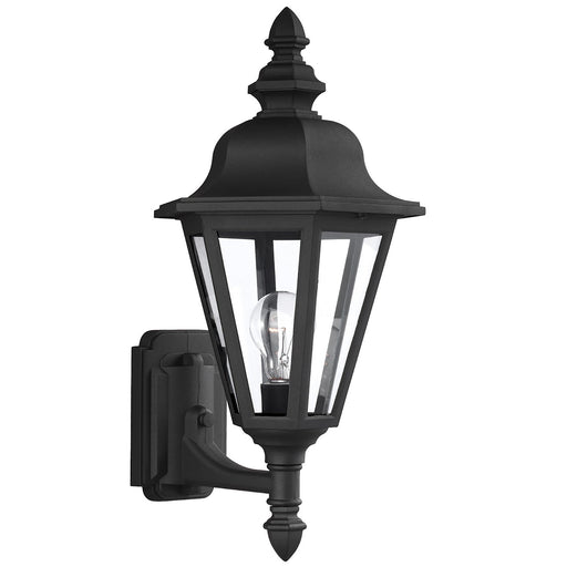 Brentwood 19.75" Clear Glass Outdoor Wall Lantern in Black