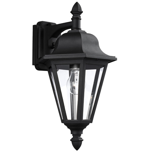 Brentwood 18" Clear Glass Outdoor Wall Lantern in Black