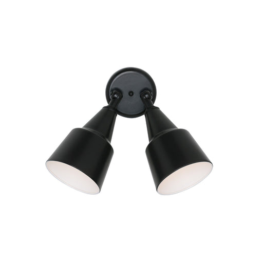 Flood Light 22" 2-Light Outdoor Wall Sconce in Black