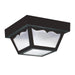Outdoor Ceiling One Light Outdoor Flush Mount in Black