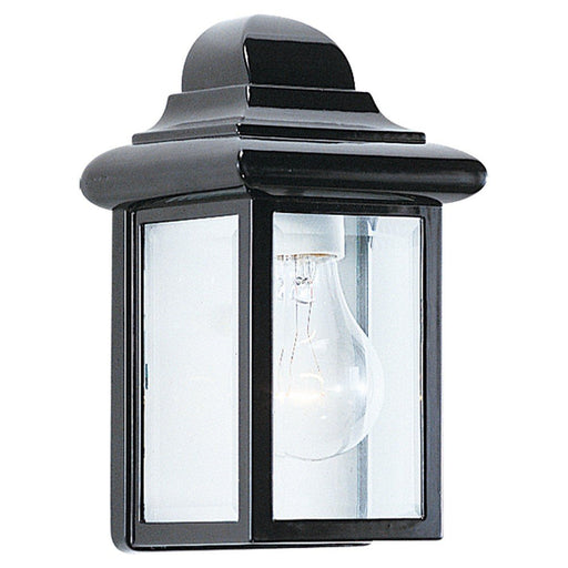 Mullberry Hill Clear Beveled Glass Outdoor Wall Lantern in Black