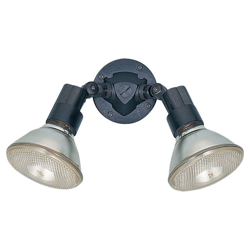 Flood Light 9.5" 2-Light Outdoor Wall Sconce in Black