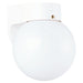 Outdoor Wall One Light Outdoor Wall Lantern in White