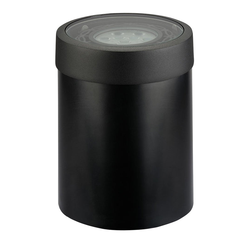 PAR36 Well Light with Trim in Black Brass