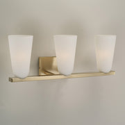 Romy 3-Light Bath Vanity Light in Matte Brass