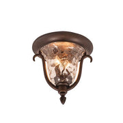 Santa Barbara 2-Light Outdoor Flush Mount in Burnished Bronze