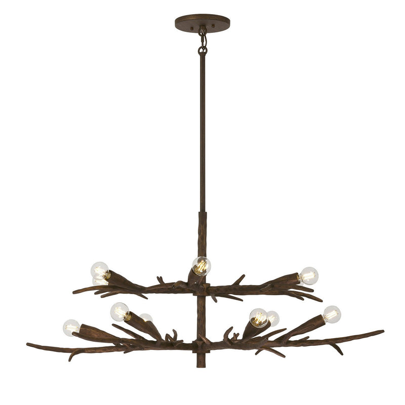 Palisades 12 Light Chandelier in Bark