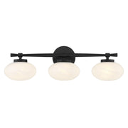 Barrow 3-Light Bath Vanity Light in Matte Black