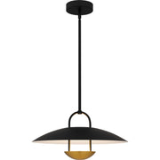 Bingham Pendant in Matte Black