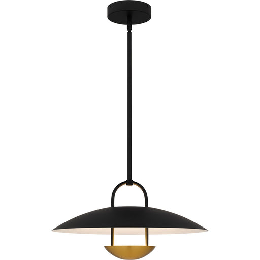Bingham Pendant in Matte Black