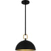 Cleo One Light Pendant in Matte Black