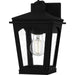 Huck One Light Outdoor Wall Lantern in Earth Black