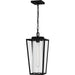 Jett 1-Light Outdoor Hanging Lantern in Matte Black - Lamps Expo