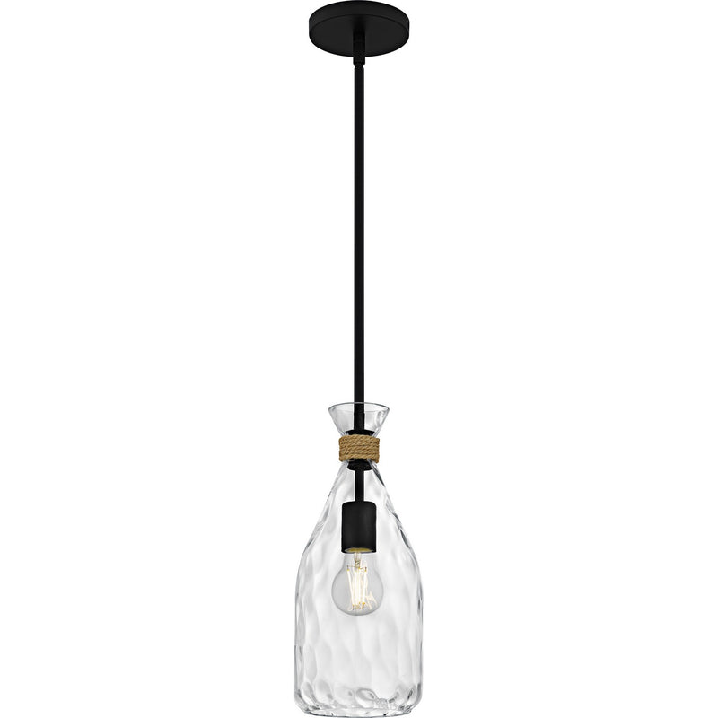 Govada 1-Light Mini Pendant in Matte Black - Lamps Expo