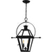 Rue De Royal Two Light Outdoor Hanging Lantern in Earth Black