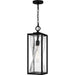 Zarah One Light Outdoor Hanging Lantern in Matte Black
