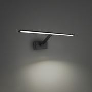 Diver 24" Picture Light in Black
