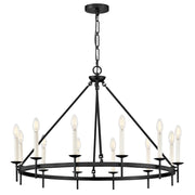 Copley 12-Light Ring Chandelier in Black