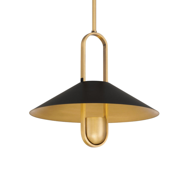 Goldenridge Pendant in Matte Black