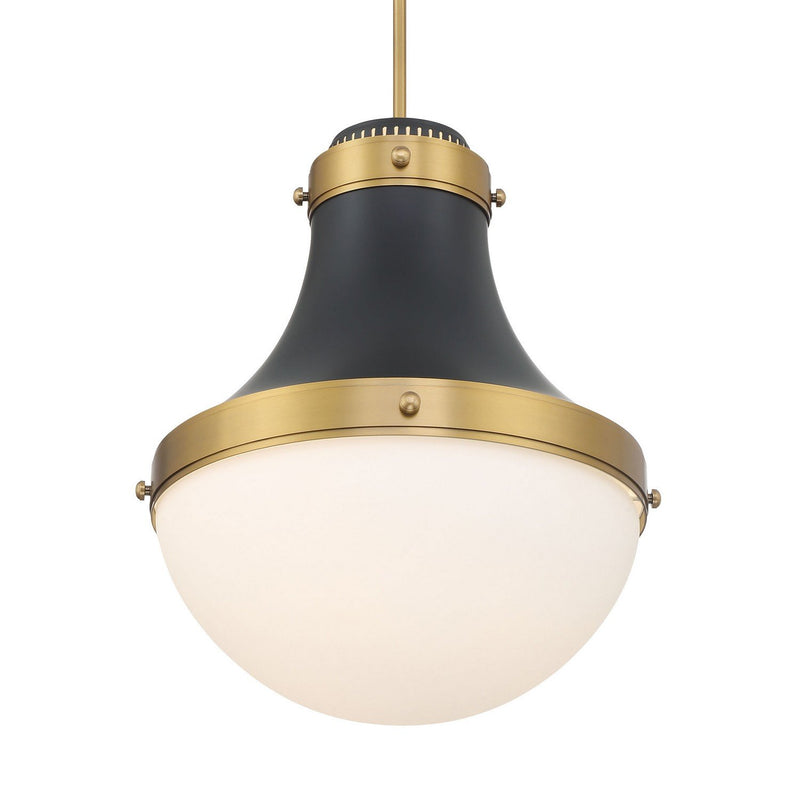 Purelight Pendant in Dark Matte Black