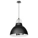 Pruitt Pendant in Matte Black