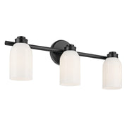 Shae 3-Light Bath Vanity Light in Black