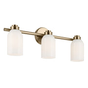 Shae 3-Light Bath Vanity Light in Champagne Bronze