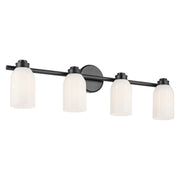 Shae 4-Light Bath Vanity Light in Black