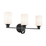 Gioe 3-Light Bath Vanity Light in Black