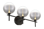 Iissa 3-Light 23.6" Vanity Light in Matte Black
