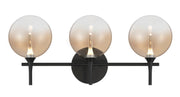 Iissa 3-Light 23.6" Vanity Light in Matte Black