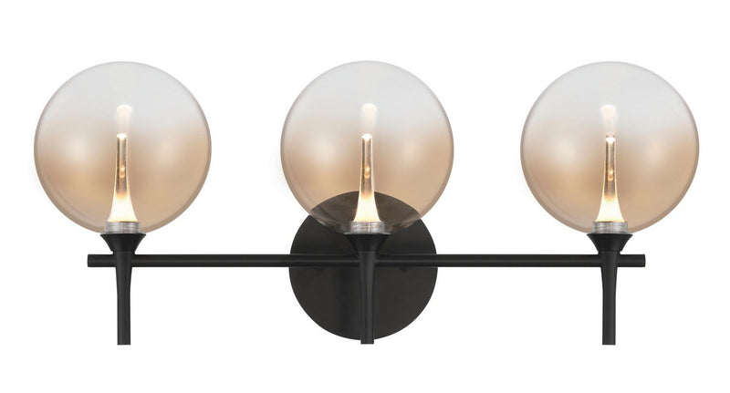 Iissa 3-Light 23.6" Vanity Light in Matte Black