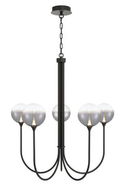 Iissa 5-Light 34" Chandelier in Matte Black
