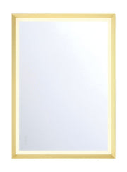Artell 42" x 30" LED Vanity Mirror in Brushed Gold